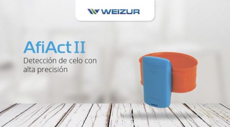 25 Aniversario / Weizur