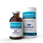 Estreptopen Plus