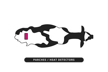 Celocheck Parches
