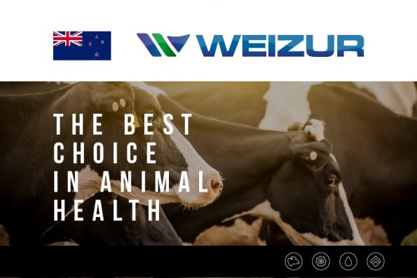 weizur-new zealand