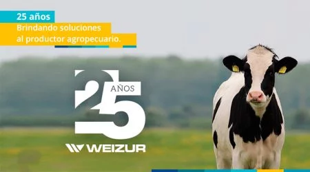 25 aniversario weizur