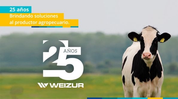 25 aniversario weizur