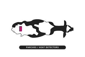 celocheck parches
