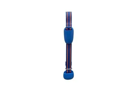 equipamiento-Afimilk-AfiCollar-weizur