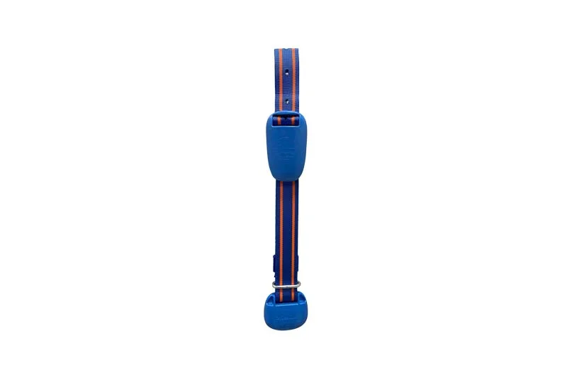 equipamiento-Afimilk-AfiCollar-weizur