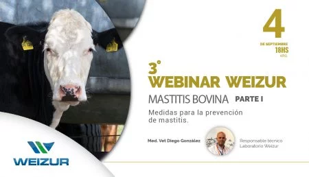 Webinar Mastitis Bovina