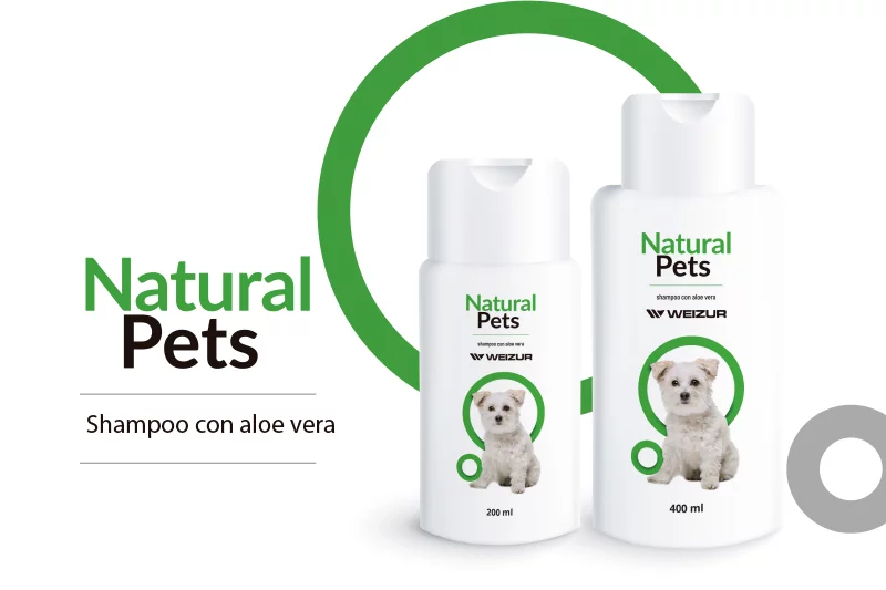 Shampoo con Aloe Vera