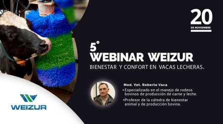 webinar-bienestaranimal-confort-bovinos de leche