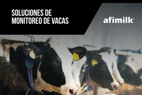 Soluciones de monitoreo de vacas