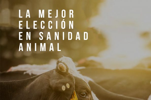 🇦🇷 Weizur | Sanidad animal