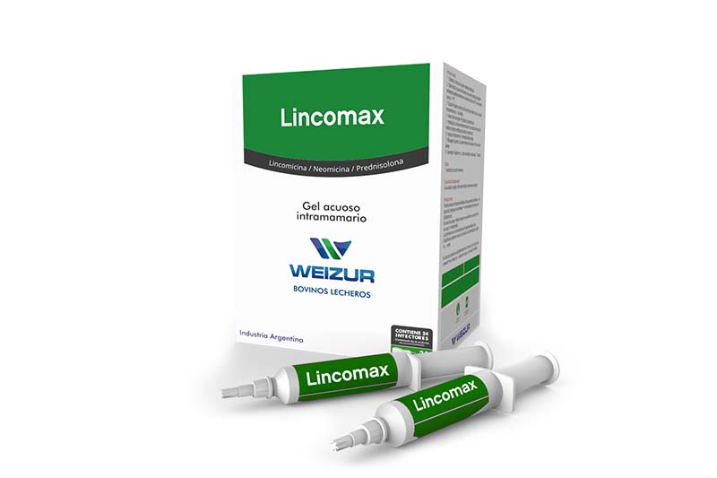 Lincomicina – neomicina- prednisolona – jeringas intramamarias – weizur
