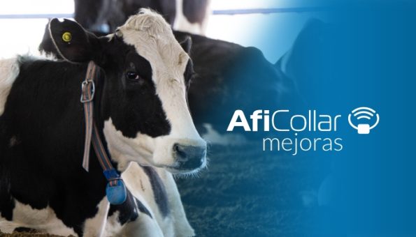 AfiCollar_mejoras_afimilk_equipamientos_para_tambos_weizur