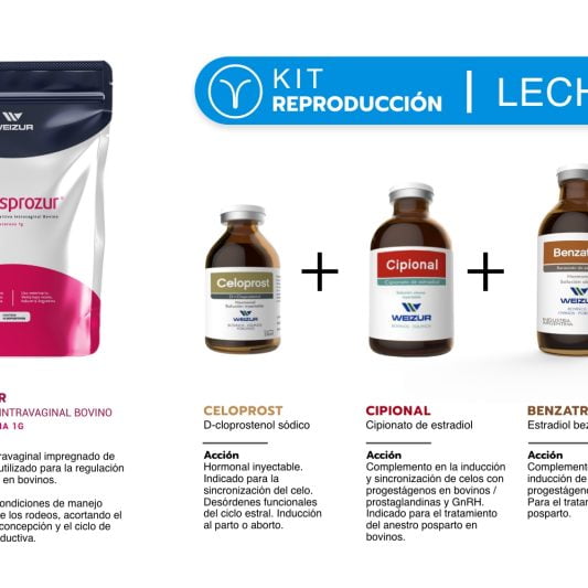 Kit_reproduccion)para_bovinos_de_leche-weizur – 2