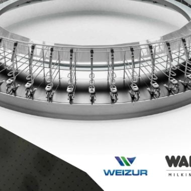Nueva planta Weizur – Brasil 2024