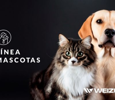 Línea para mascotas