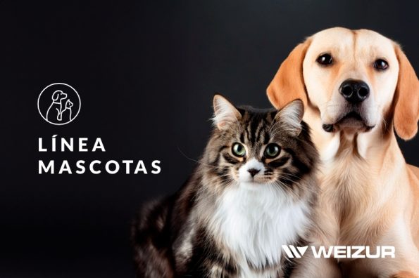 Linea para cuidado y bienestar de mascotas