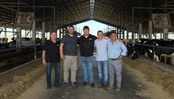 One_man_rotary_waikato_weizur_argentina