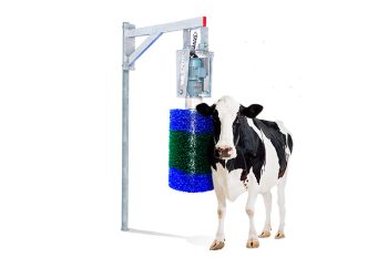 cow brsuh, cepillo para la higiene y bienestar bovino.