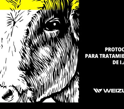 Protocolo para tratamiento de I.A.T.F