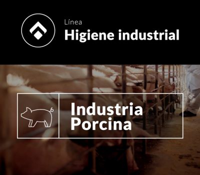 Higiene para industria porcina