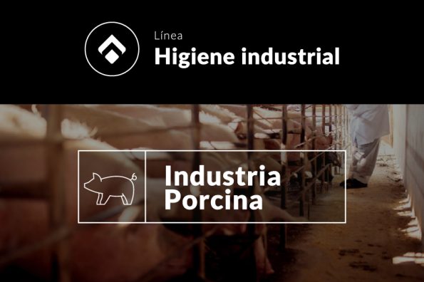 Higiene y Desinfección en la Industria Porcina: Clave para la Seguridad Alimentaria